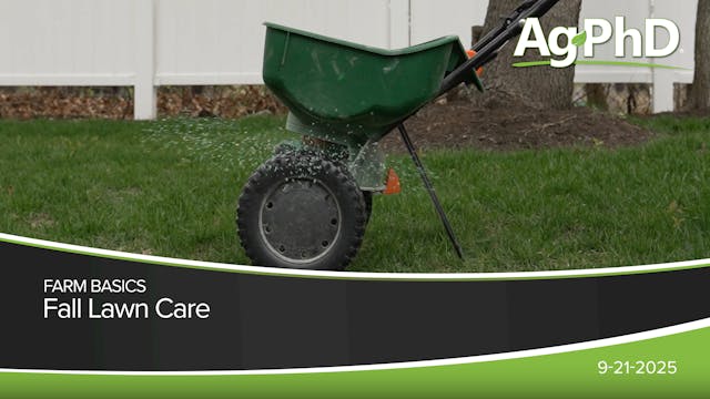 Fall Lawn Care | Ag PhD