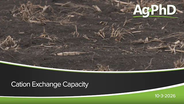 Cation Exchange Capacity