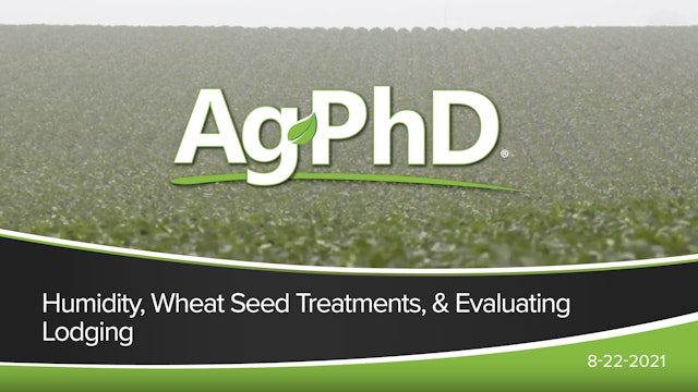Humidity, Wheat Seed Treatments, Evaluating Lodging 