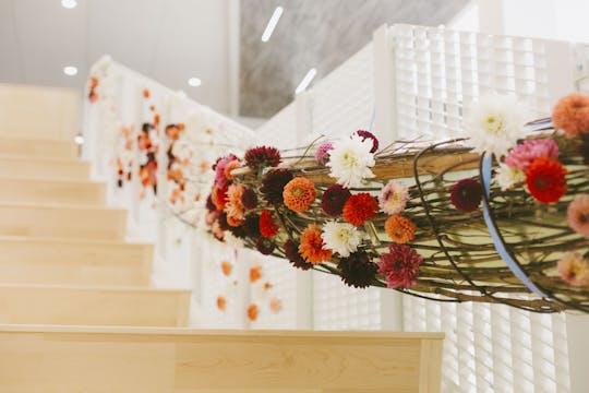 River of Dahlias | Follow the Blooms ...