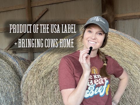 Product of the USA + Bringing Cows Ho...