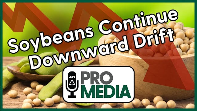 Soybeans Continue Downward Drift | AT...