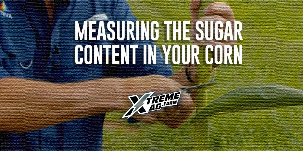 What Is Your Sugar Content? | XtremeAg