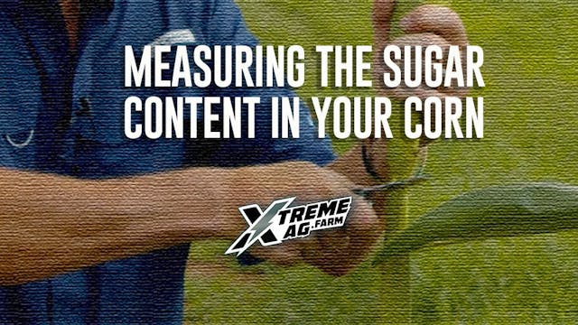 What Is Your Sugar Content? | XtremeAg