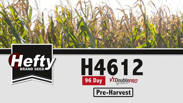 H4612 | 96-Day | VT2P