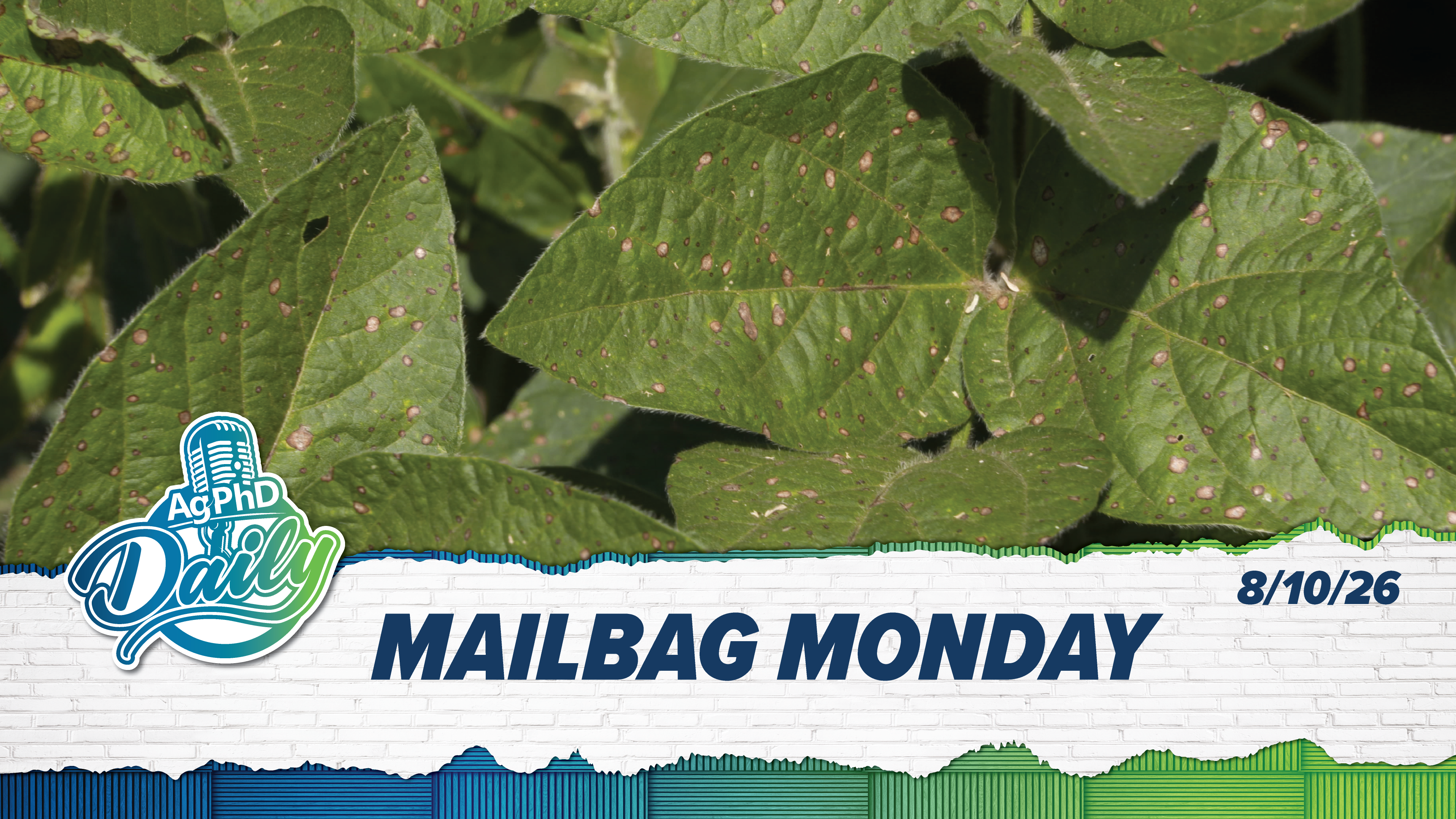 Mailbag Monday | Ag PhD Daily | 8/10/2026