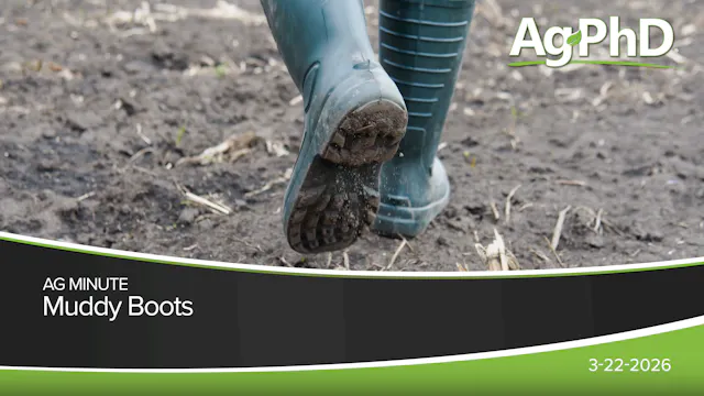 Muddy Boots | Ag PhD