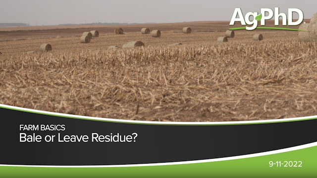Bale or Leave Residue? | Ag PhD