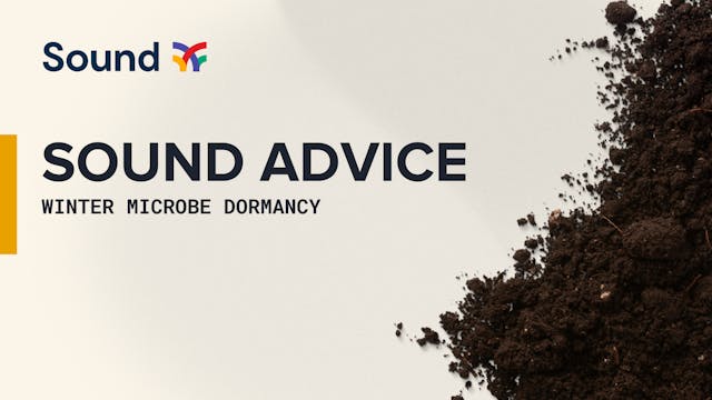 Sound Advice: Dealing with Winter Mic...