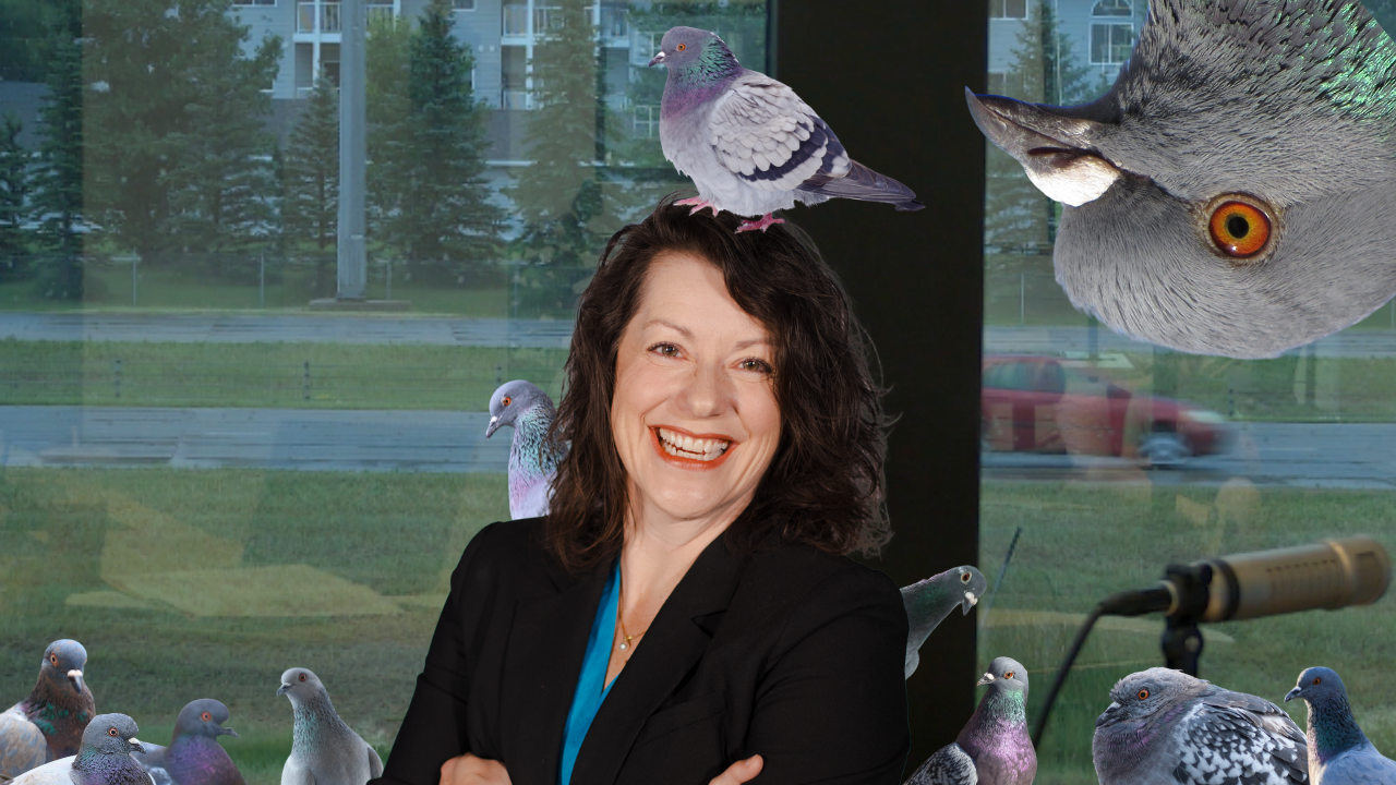 AI Discovers Soybean Nematodes | WAG In Focus 04/07/2026