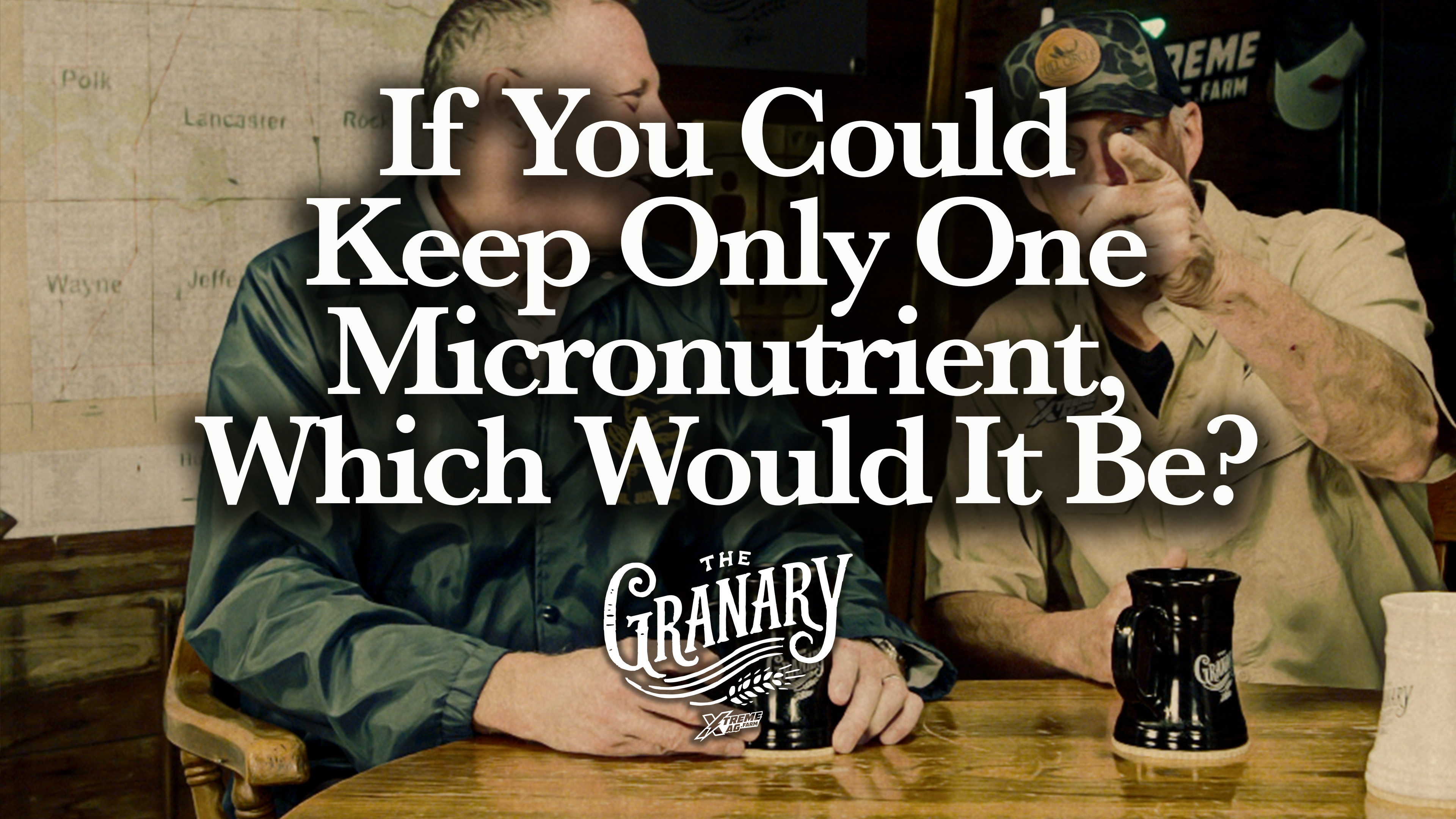 If You Could Keep Only One Micronutrient, Which Would It Be? | The Granary