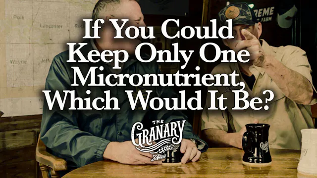 If You Could Keep Only One Micronutri...