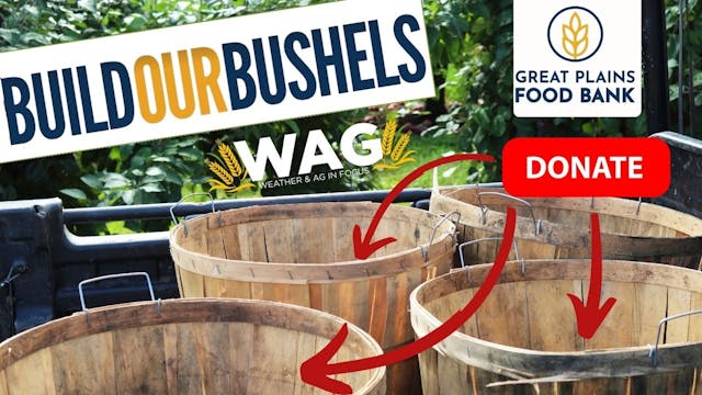 Build Our Bushels | WAG in Focus 11/6/23