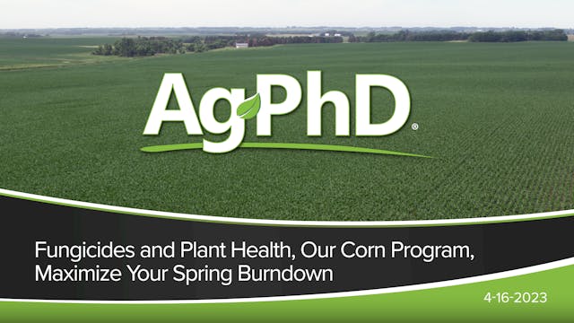 Fungicides and Plant Health, Our Corn...