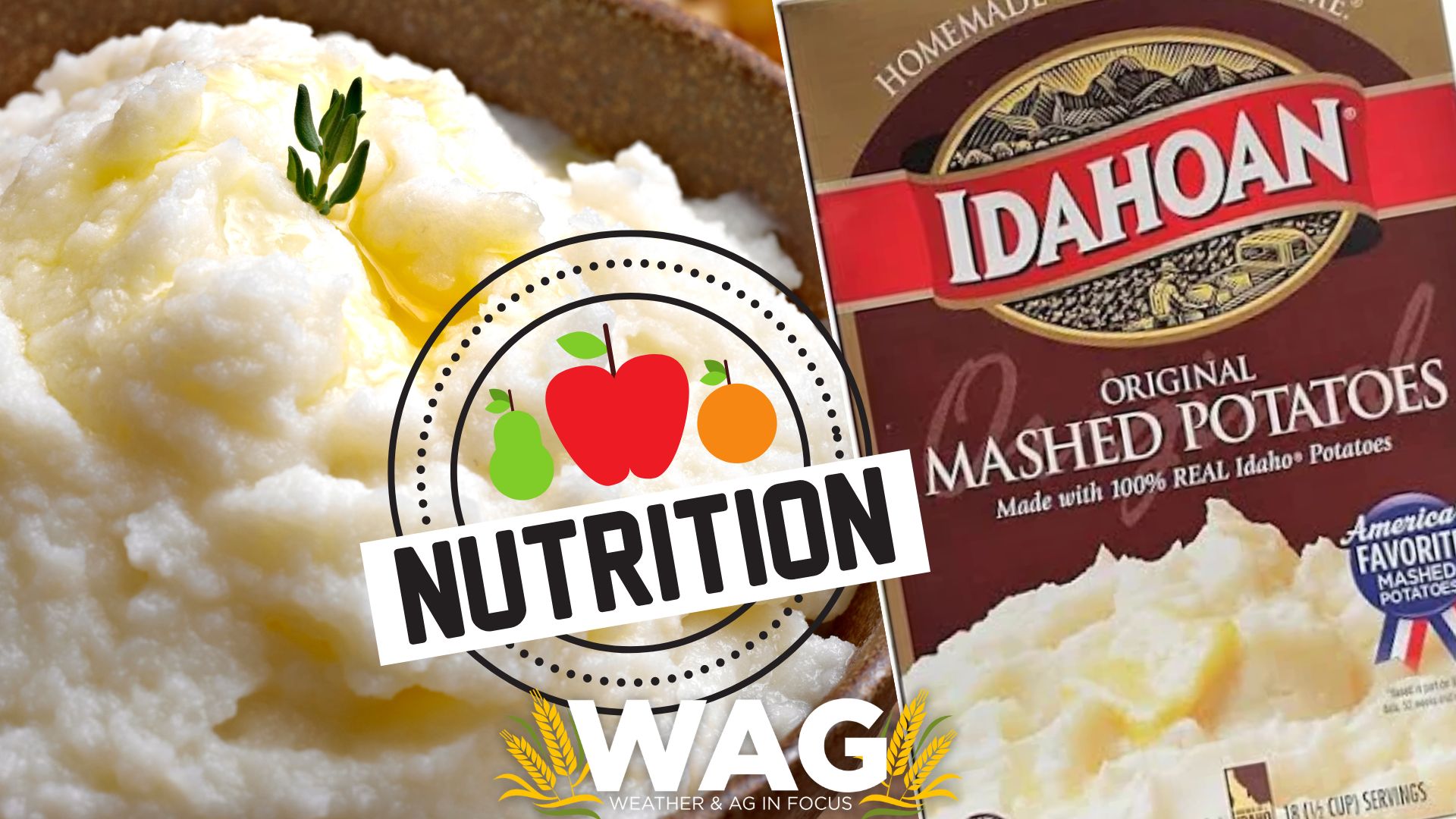 Mashed Potatoes vs. Potato flakes.. Nutrition Battle! WAG In Focus 4-17-23
