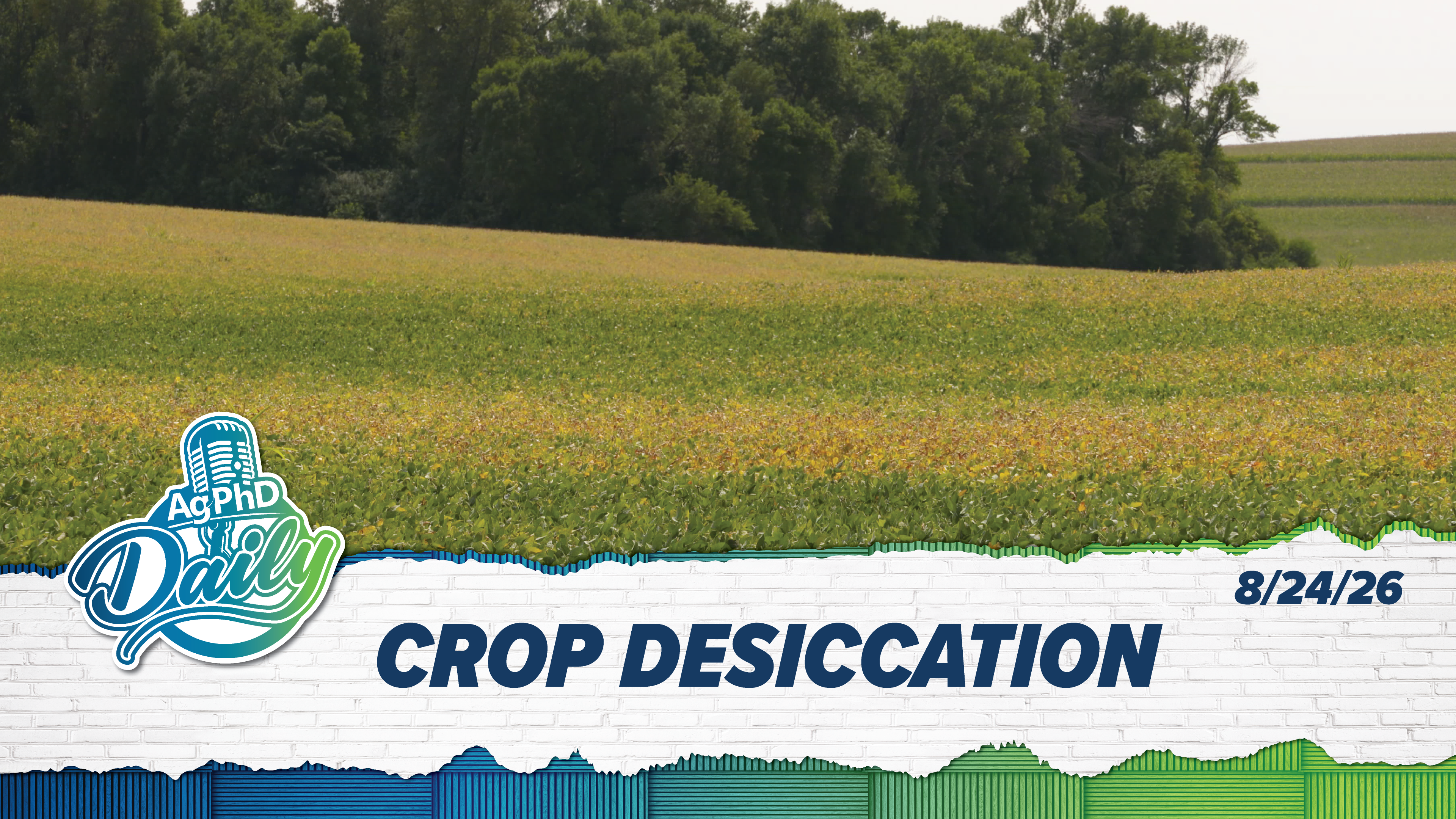 Crop Desiccation  | Ag PhD Daily | 08/24/26