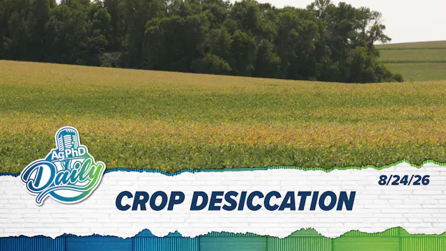 Crop Desiccation  | Ag PhD Daily | 08...