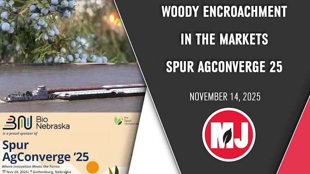 Market Jouranl | November 14, 2025 | ...