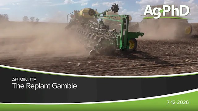 The Replant Gamble | Ag PhD