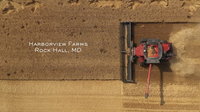 How Trey Hill Manages His Land at Harbor View Farms | Sound Ag