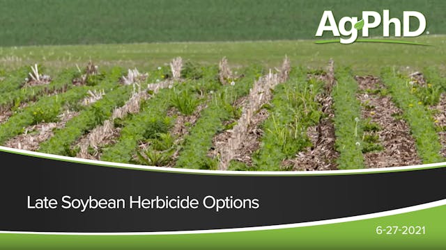 Late Season Soybean Herbicides | Ag PhD
