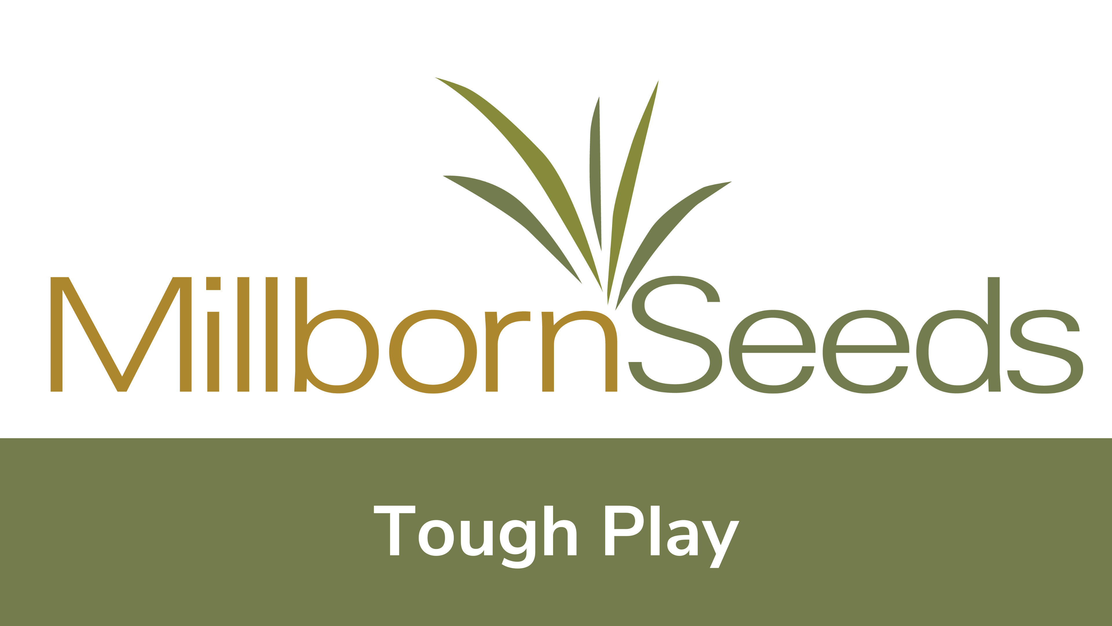 Millborn Seeds - Tough Play