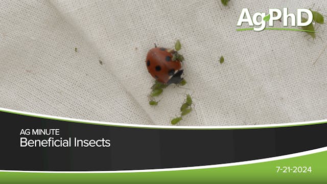 Beneficial Insects | Ag PhD