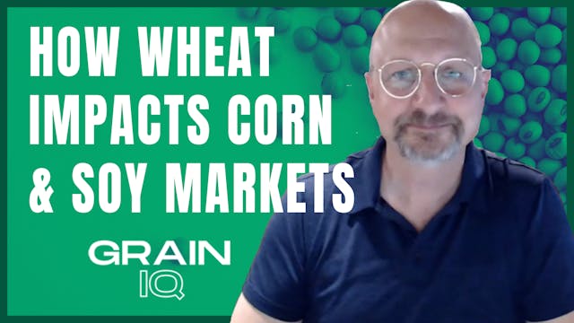 How Wheat Impacts Corn and Soybean Ma...