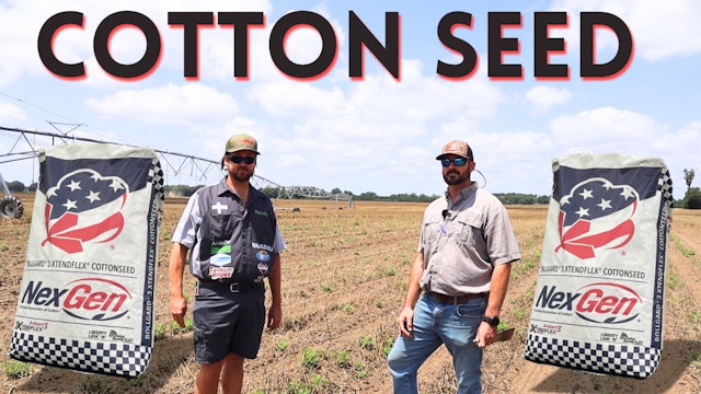 Selling Cotton Seed | Randy The Farmer