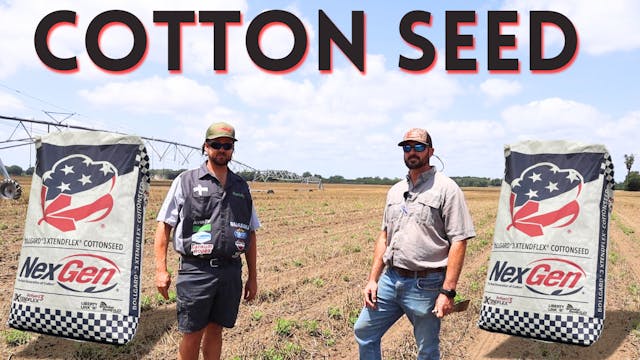 Selling Cotton Seed | Randy The Farmer