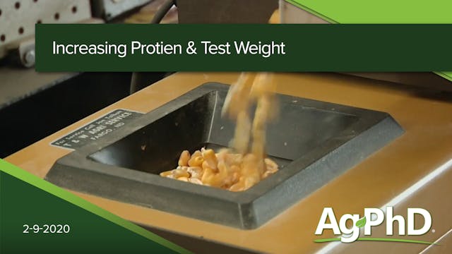 Increasing Protein & Test Weight 