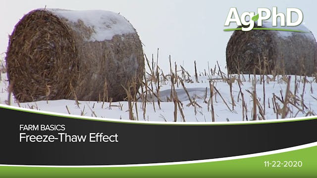 Freeze-Thaw Effect | Ag PhD