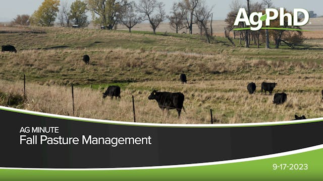 Fall Pasture Management | Ag PhD