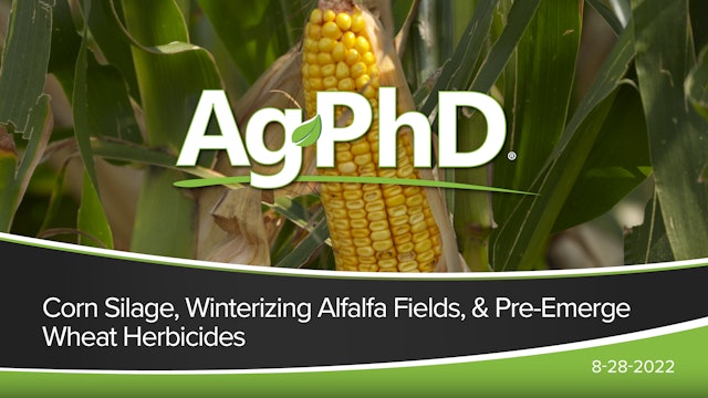 Corn Silage, Off-Season Alfalfa, & Wheat Pre's | Ag PhD