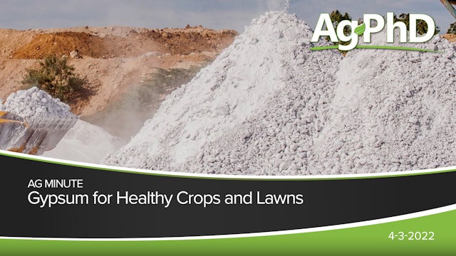 Gypsum for Healthy Crops and Lawns