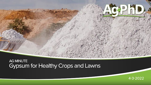 Gypsum for Healthy Crops and Lawns | ...