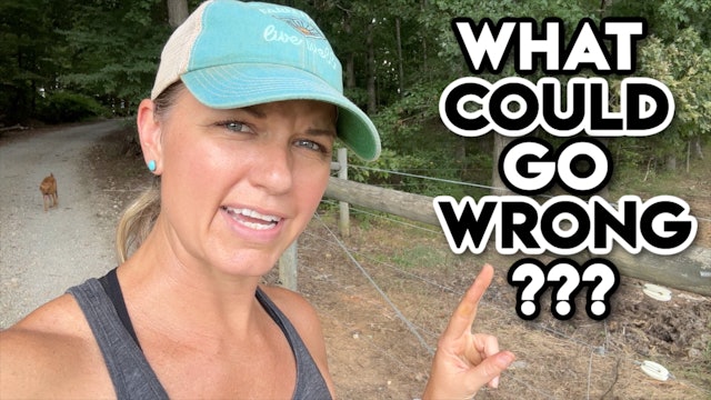 What Could Go Wrong? || This Farm Wife
