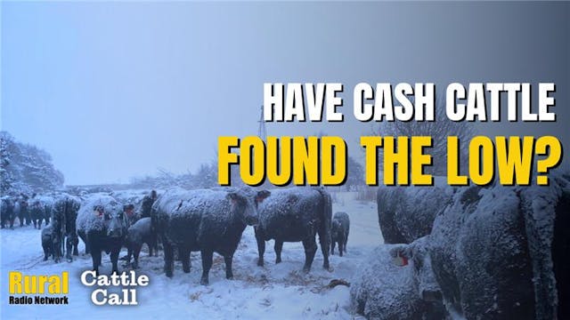 Have Cash Cattle Found the Low? | 2/1...