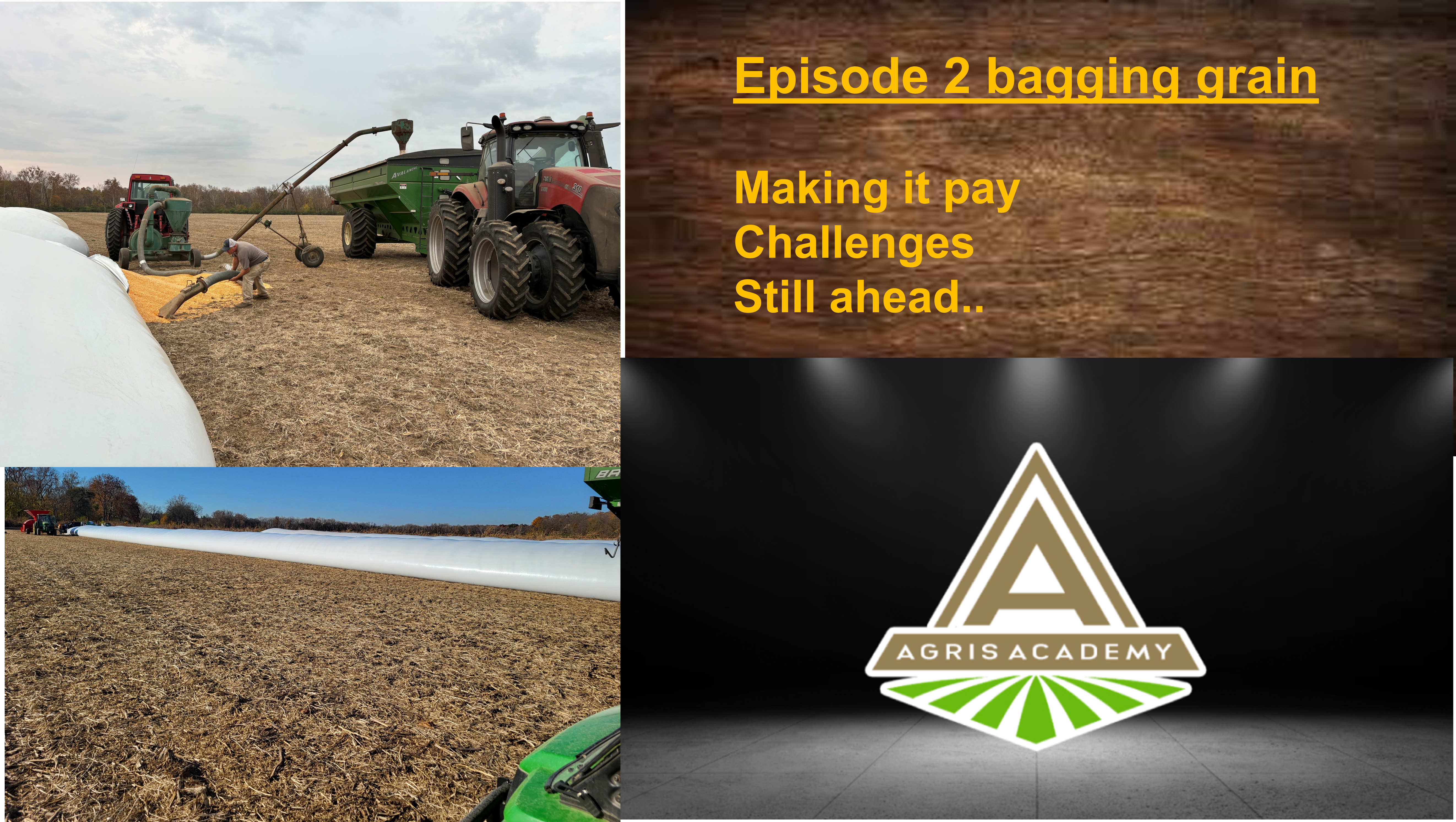 Inside Bagging Part 2 | AgrisAcademy 