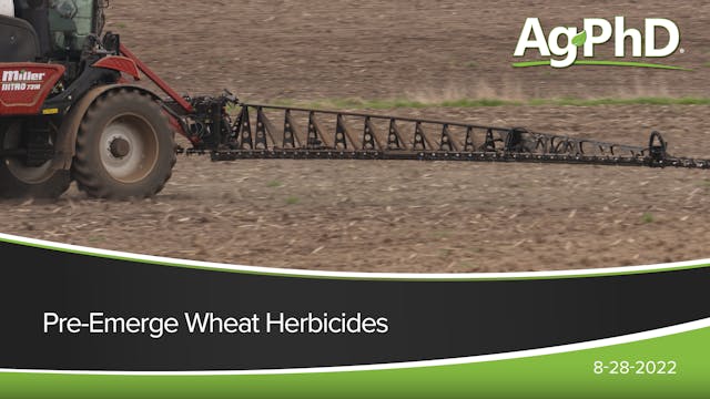 Pre-Emerge Wheat Herbicides | Ag PhD