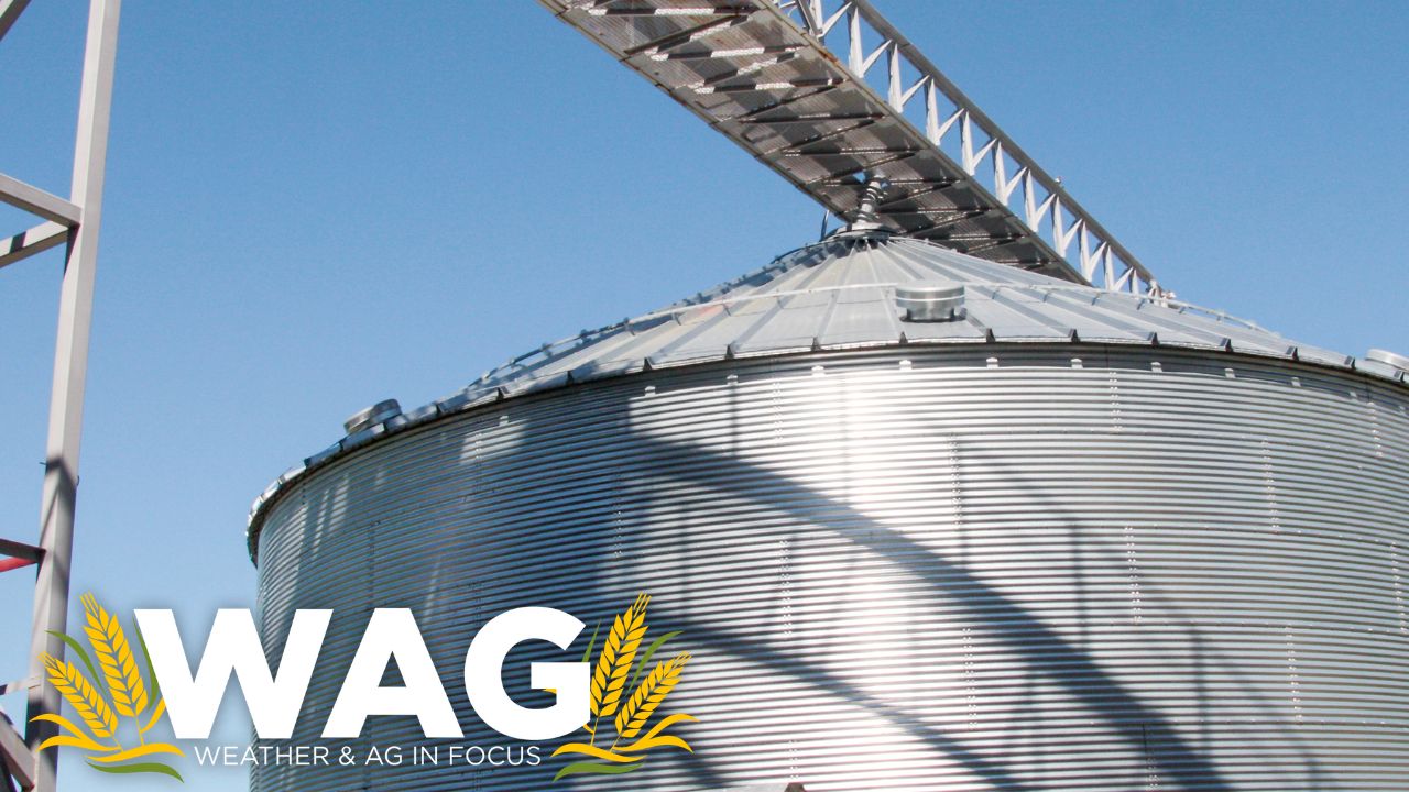 Grain bin Rescue; DEADLY DANGERS on the farm! WAG In Focus 2-15-23