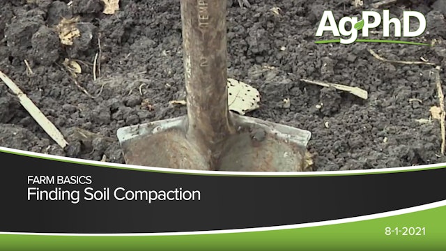 Finding Soil Compaction | Ag PhD