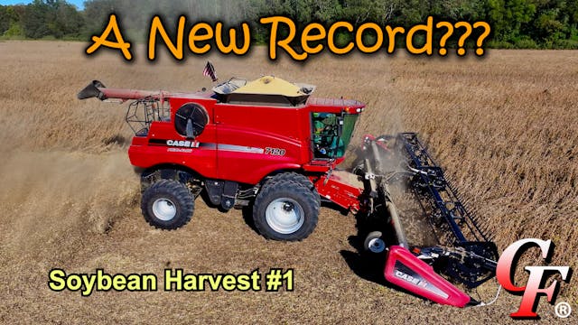 Was My Record Yield Prediction Correc...