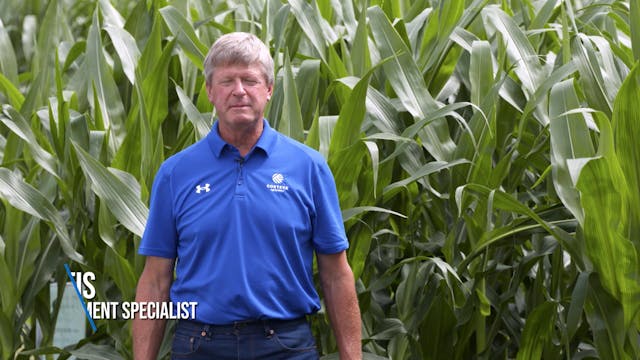 Elevating Post Corn Herbicide Program...