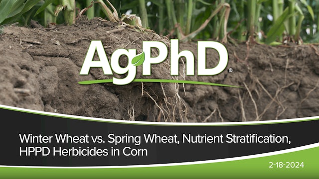 Winter vs Spring Wheat, Nutrient Stratification, HPPD Herbicides in Corn| Ag PhD