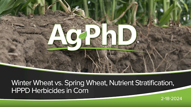 Winter vs Spring Wheat, Nutrient Stra...