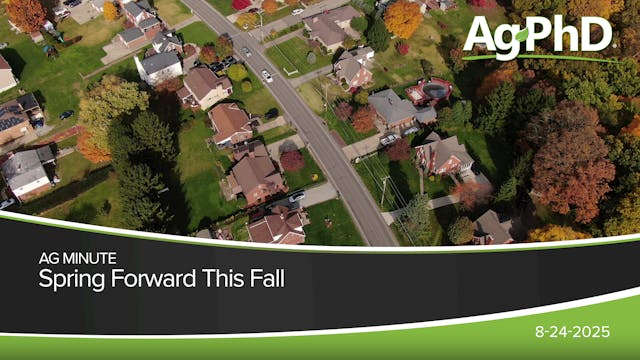 Spring Forward This Fall | Ag PhD