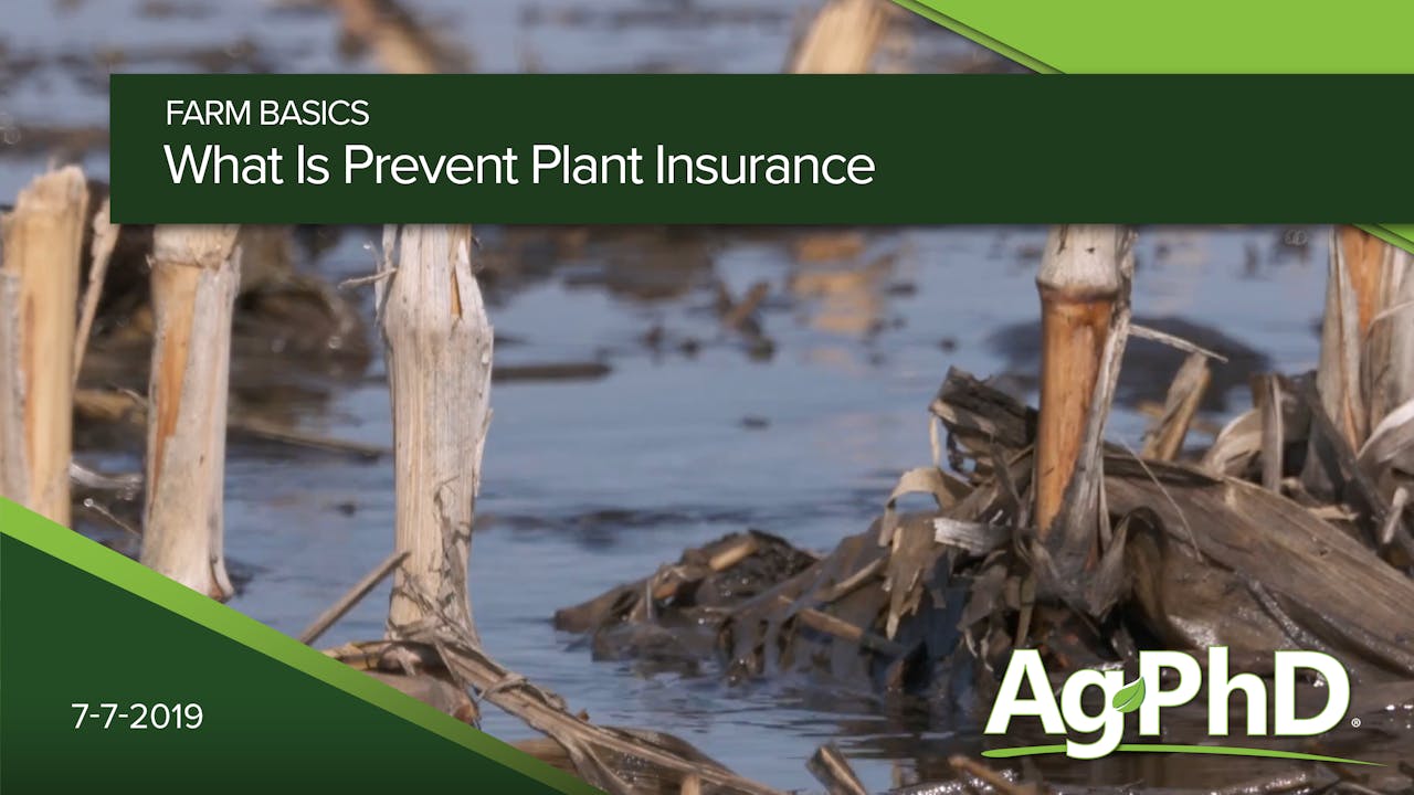 What Is Prevent Plant Insurance? 2019 AcresTV
