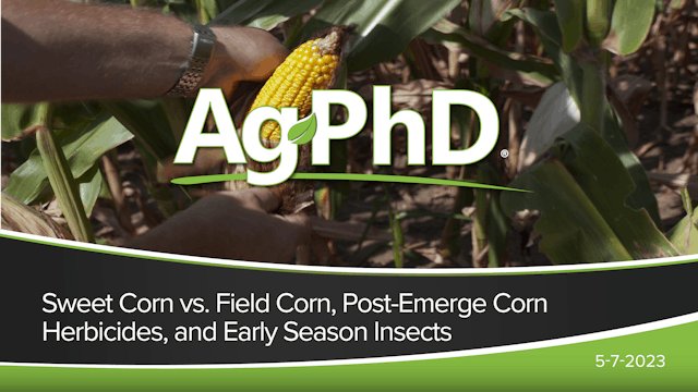 Sweet vs. Field Corn, Post-Emerge Cor...