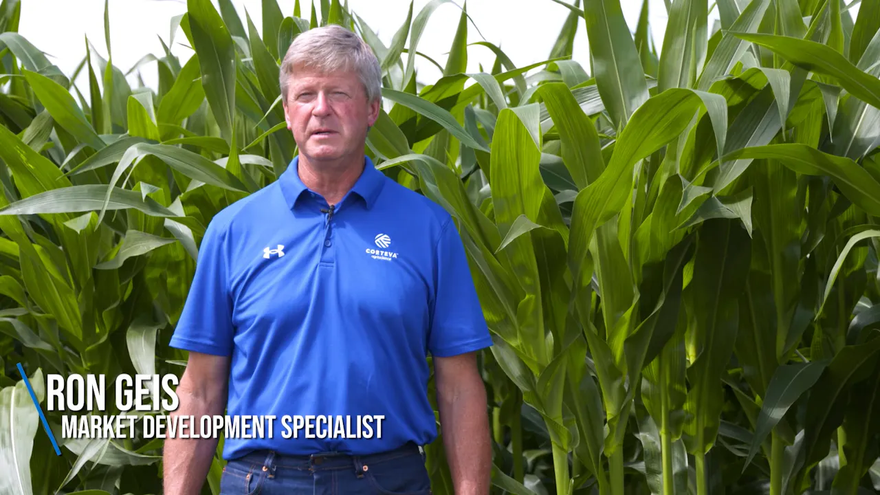 When Is the Right Time To Post Spray My Corn? | Corteva - AcresTV